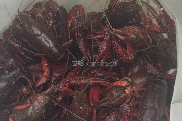 馋嘴小龙虾的做法图解1