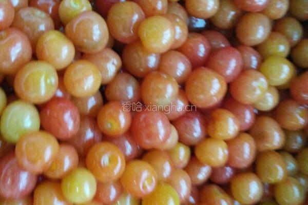 樱桃酱的做法图解2