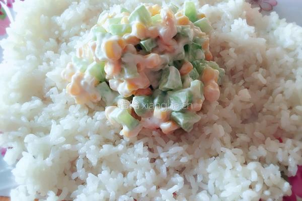 紫菜沙拉大饭团的做法图解4