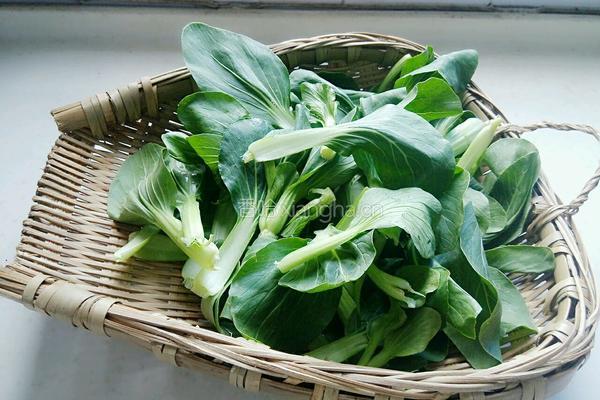 香菇青菜的做法图解2