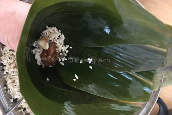 香菇干贝瘦肉粽子的做法图解6