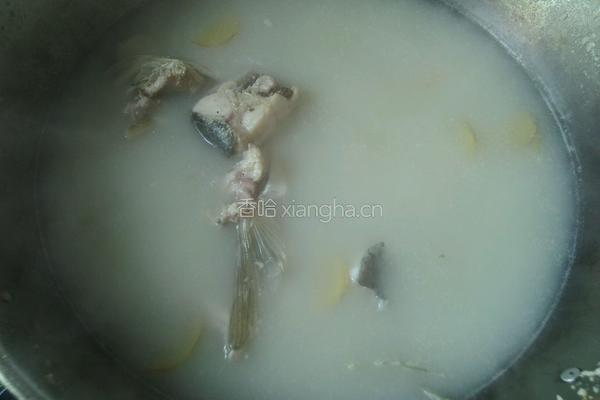 酸菜鱼的做法图解5