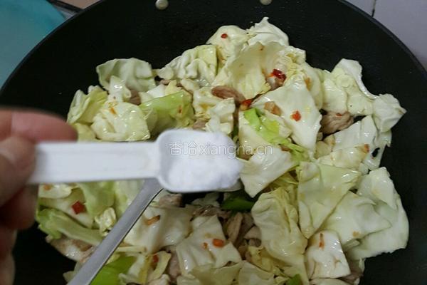 干煸圆白菜的做法图解5