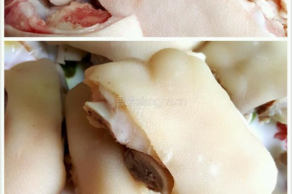 花生炖猪蹄的做法图解1