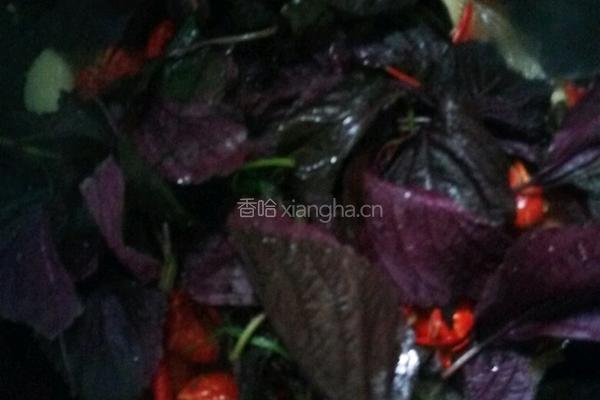 麻辣虾尾的做法图解5