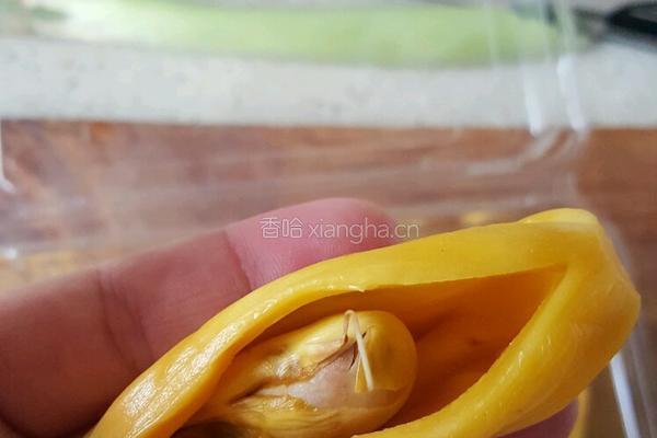 菠萝蜜的做法图解4