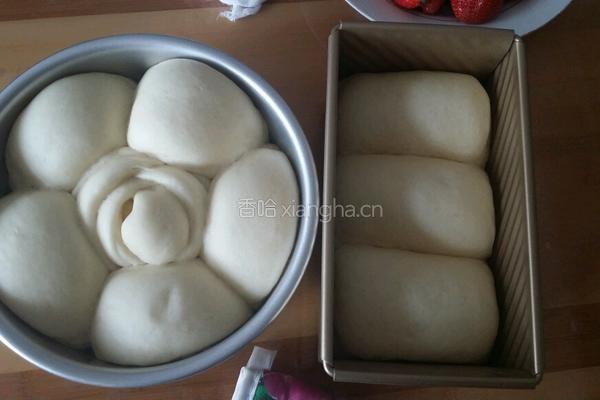 葡萄干燕麦啤酒包的做法图解13