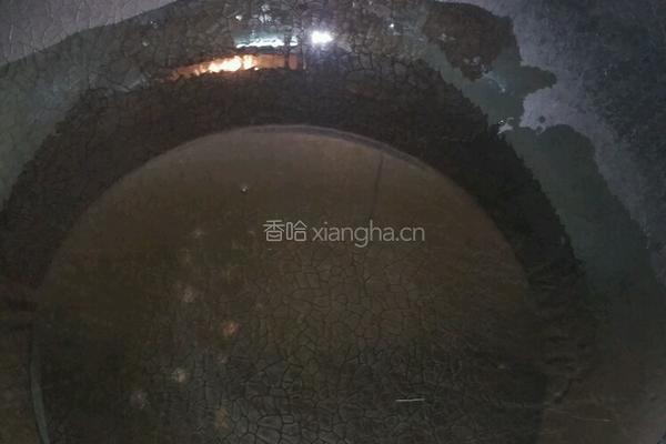 干煸四季豆的做法图解5