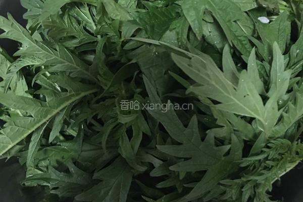 哈拉海炖土豆的做法图解1
