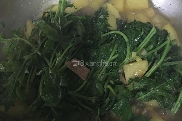 哈拉海炖土豆的做法图解7