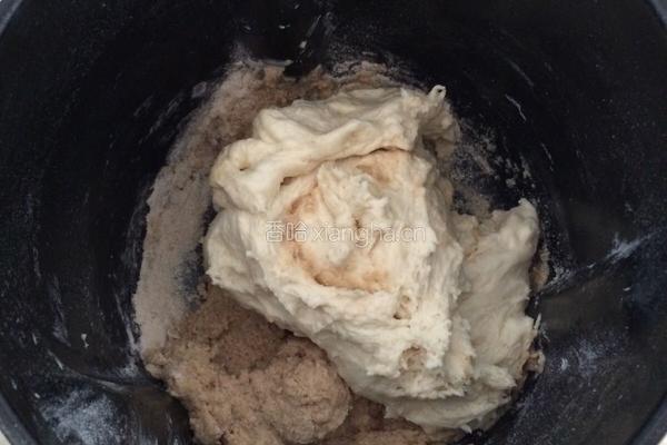 核桃蔓越莓软欧包（中种法）的做法图解3