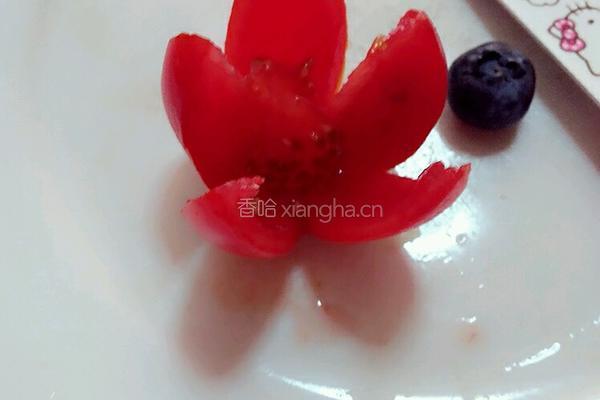 太阳花的做法图解2