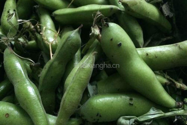 翡翠豆瓣的做法图解1