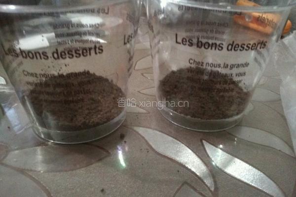 木糠杯的做法图解7
