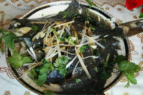 清蒸多宝鱼的做法图解8