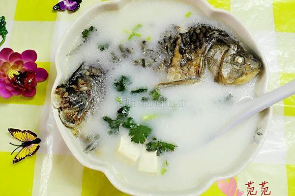 豆腐鱼汤的做法图解9