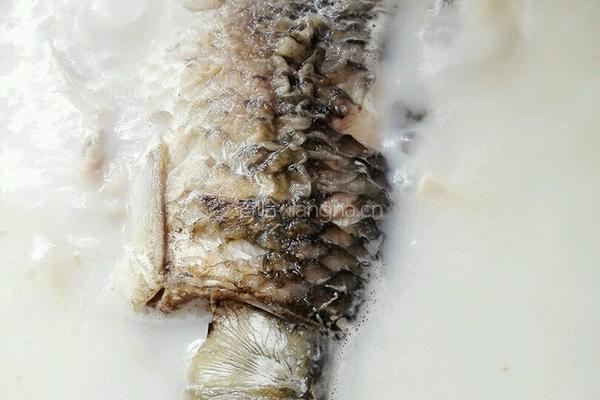 豆腐鱼汤的做法图解8