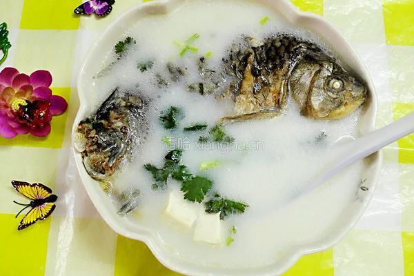 豆腐鱼汤的做法图解10
