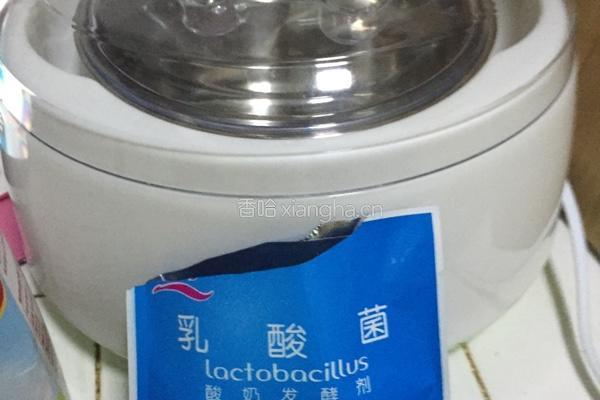 川秀自制酸奶的做法图解1