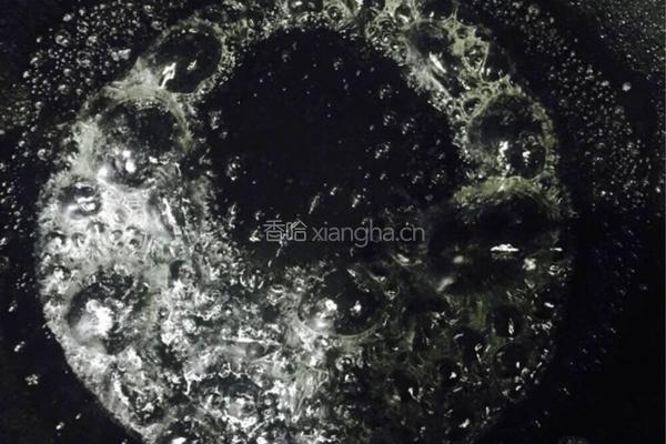 毛家红烧肉的做法图解6