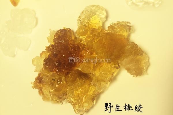 银耳红枣汤的做法图解1