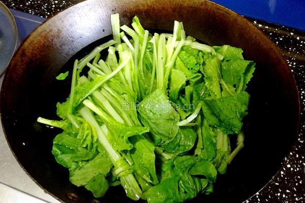 香菇青菜素锅贴的做法图解8