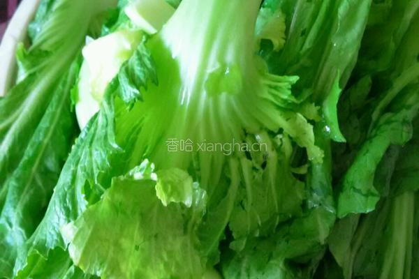 清炒芥菜的做法图解1