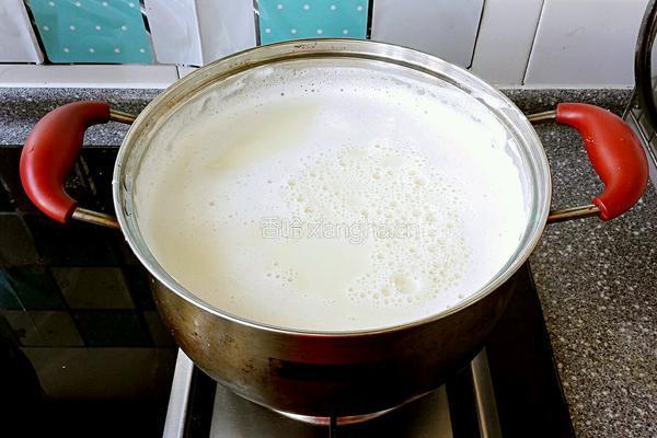 自制豆腐的做法图解9
