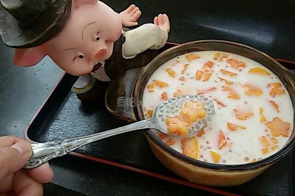 木瓜椰汁西米露的做法图解19