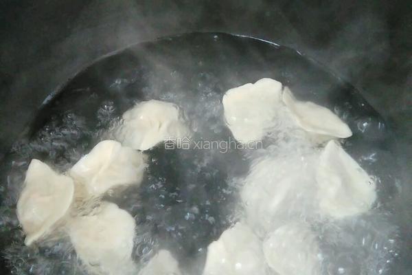 胡萝卜木耳馅饺子的做法图解14