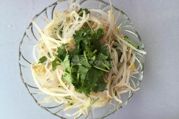凉拌豆芽的做法图解3