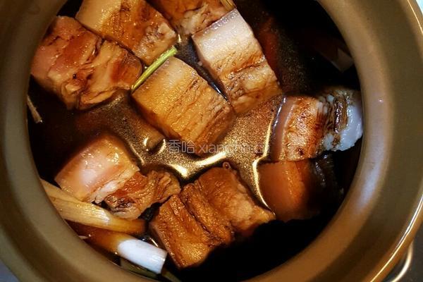 东坡肉的做法图解8