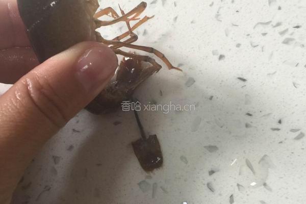 十三香麻辣小龙虾的做法图解3