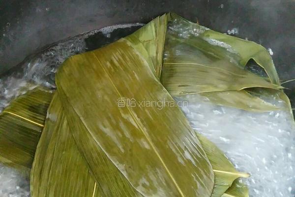 蜜枣三角粽的做法图解3