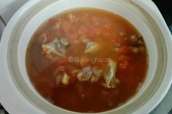 番茄炖牛腩的做法图解12
