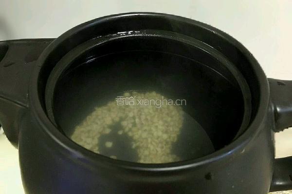 薏米冬瓜排骨汤的做法图解7