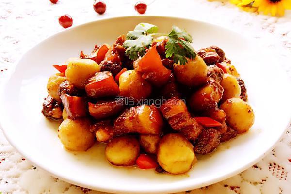 土豆炖肉的做法图解16