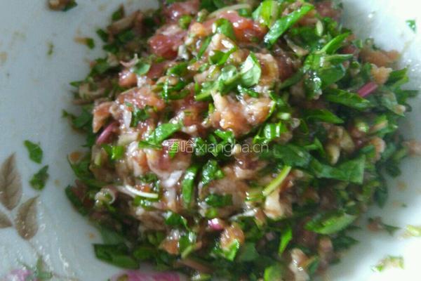 婆婆丁肉水饺的做法图解3