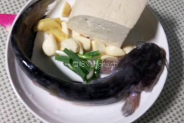 鲶鱼炖豆腐的做法图解1