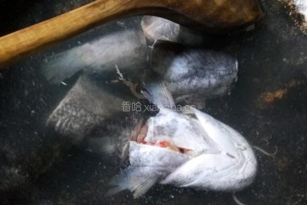 鲶鱼炖豆腐的做法图解3