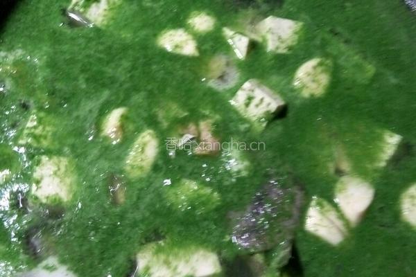 鲶鱼炖豆腐的做法图解6