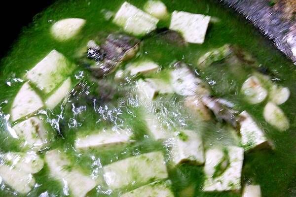 鲶鱼炖豆腐的做法图解8