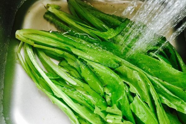 麻酱油麦菜的做法图解1