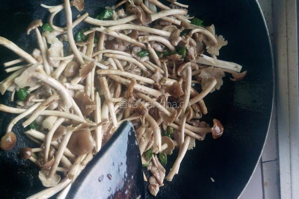 茶树菇炒肉片的做法图解3