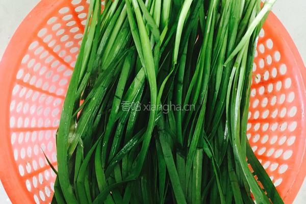 猪肉韭菜馅饺子的做法图解1