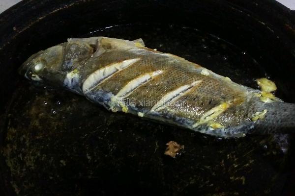 红烧鲈鱼的做法图解3