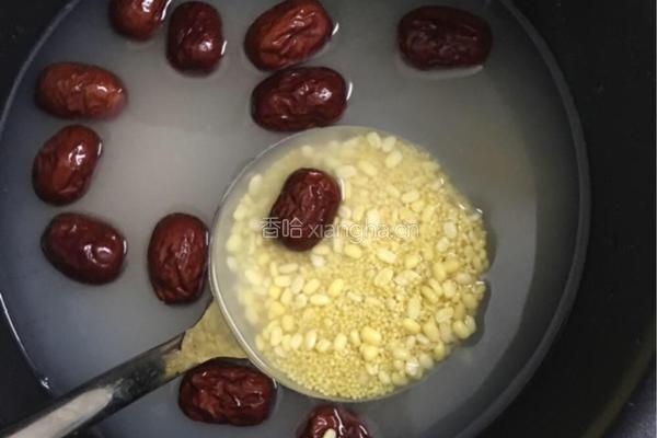 小米绿豆红枣粥的做法图解4