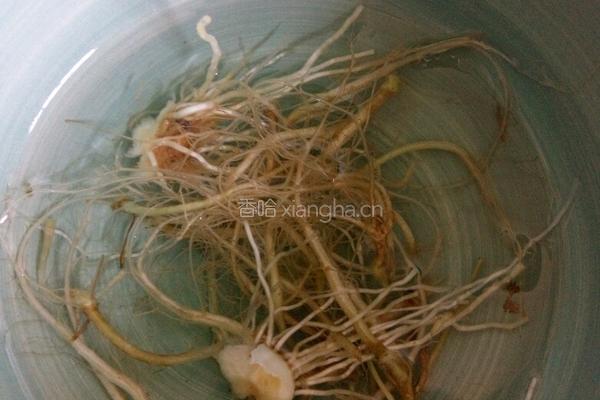 柚子萝卜皮葱根香菜根茶～的做法图解2
