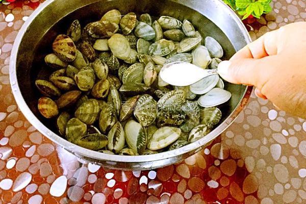 香辣姜葱爆炒花甲的做法图解1