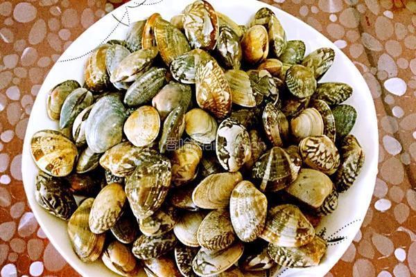 香辣姜葱爆炒花甲的做法图解2